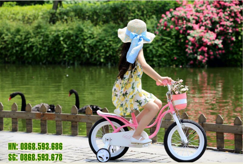 Chi tiết các bộ phận của xe đạp Royal Baby Litter Swan