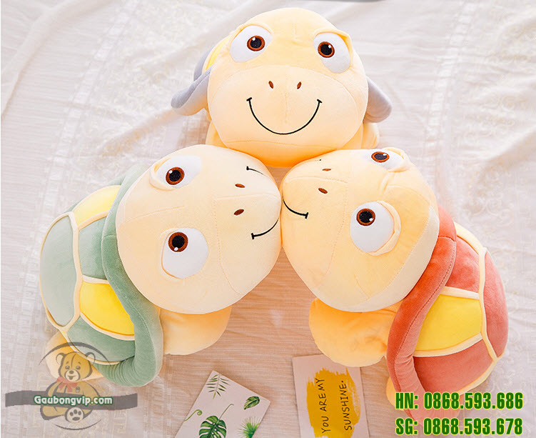 Rùa mắt to4