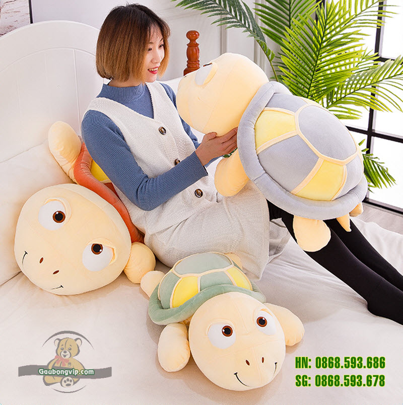 Rùa mắt to 9