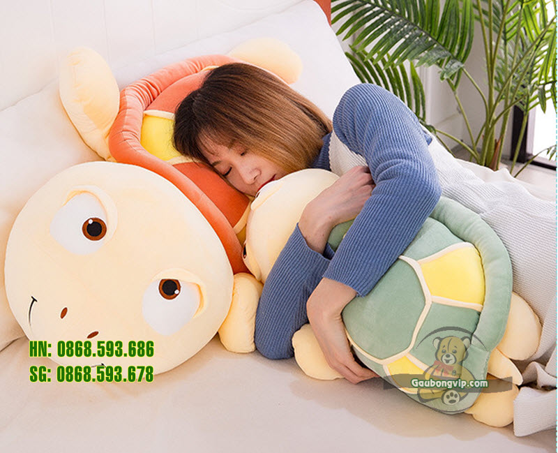 Rùa mắt to 9