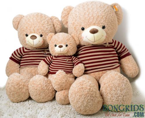Gấu bông Teddy bán ở đâu?