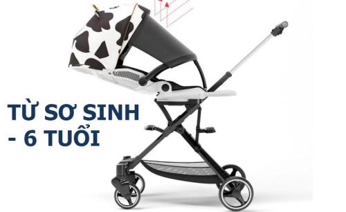 Có nên mua xe đẩy cho bé không?