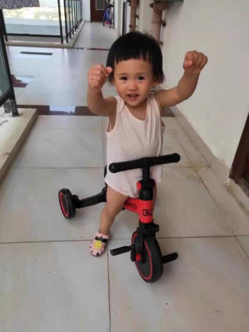 bình luận