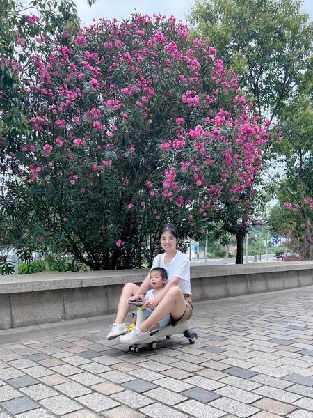 bình luận