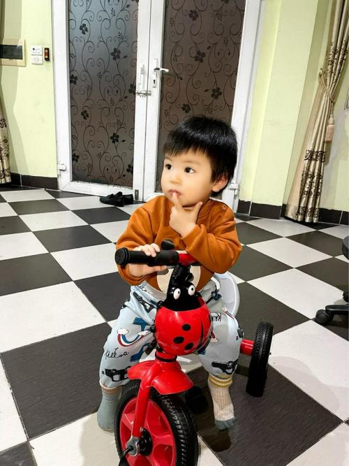 bình luận