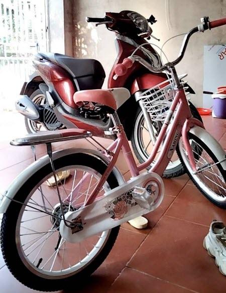 bình luận