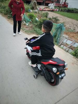 bình luận