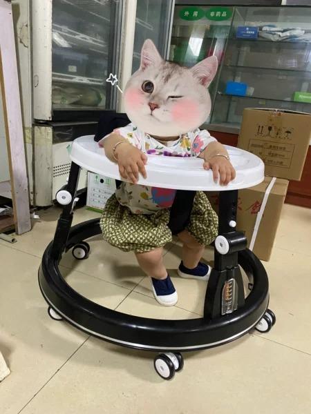 bình luận