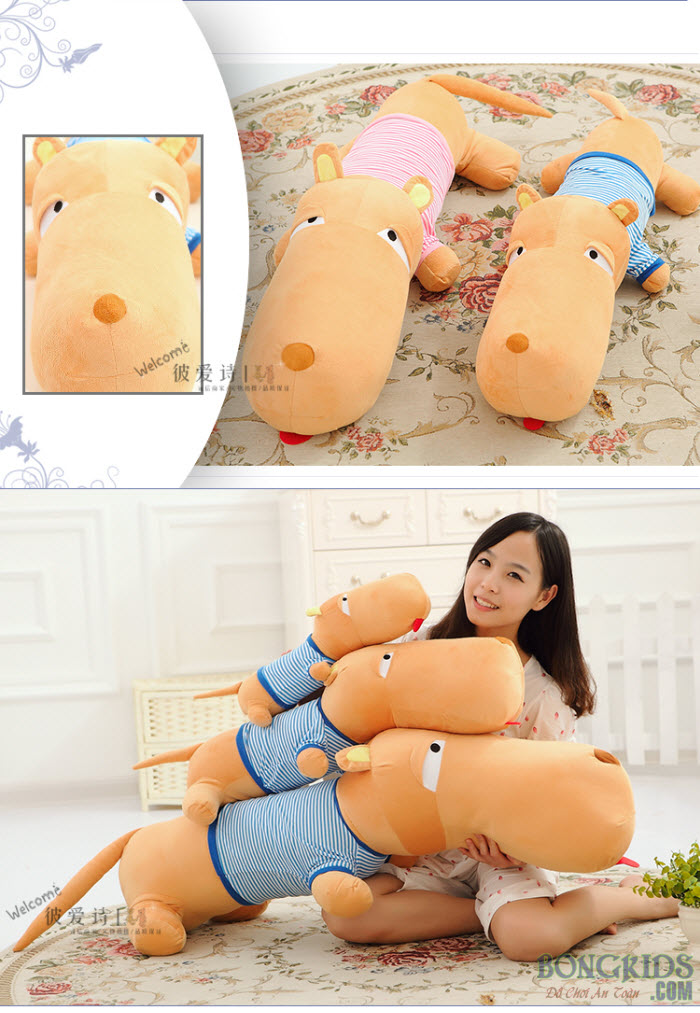 Chó bông Puco đẹp