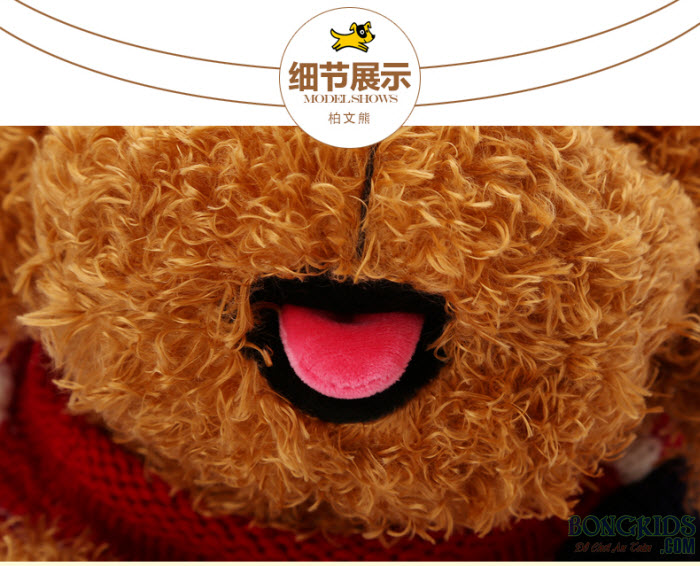 Chó bông lông xù