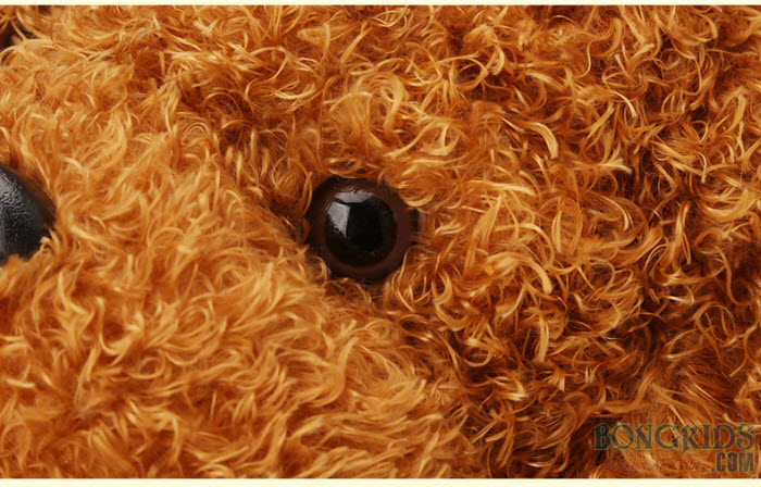 Chó bông lông xù