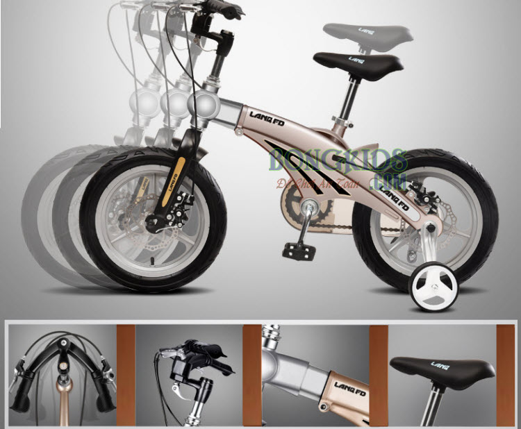 Xe đạp trẻ em cao cấp FD12