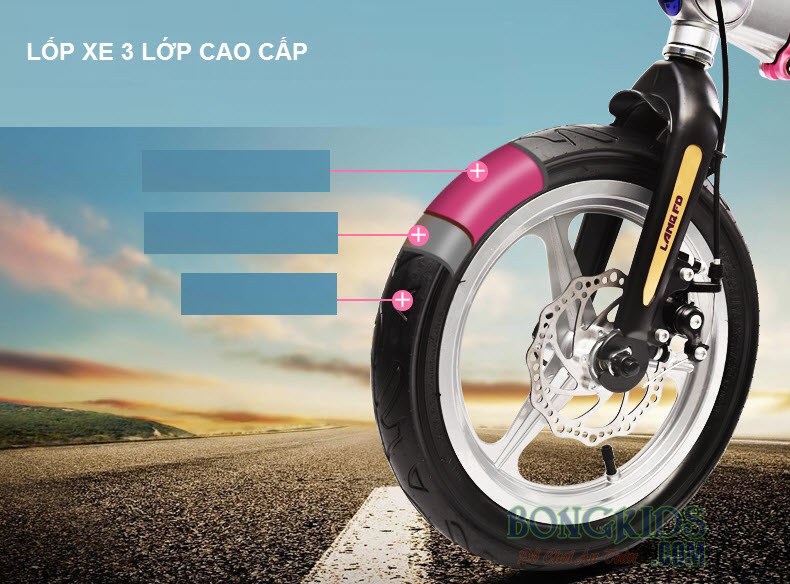 Xe đạp trẻ em cao cấp FD12